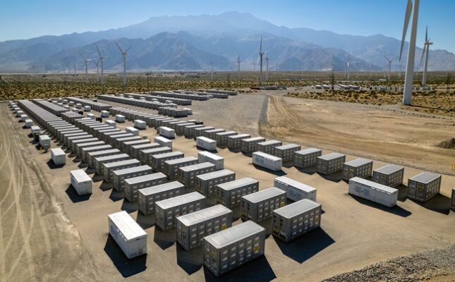 bess-pustynia-645x400