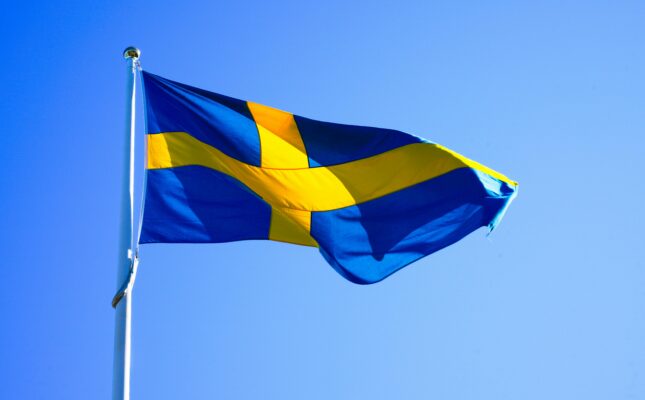 pexels-damir-31495952-645x400